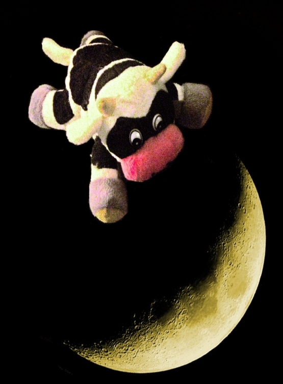 Hey diddle diddle
